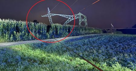 Ludzie myśleli, że to AI. Pokazali zdjęcie. Droga zamknięta