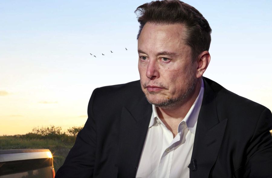 Elon Musk zniszczył działkę Cards Against Humanity?