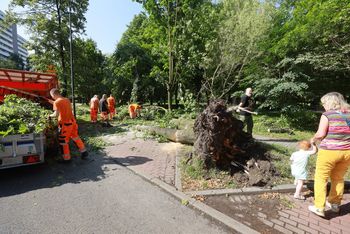 Burza, która przeszła nad Katowicami przyniosła straty. Trwa wielkie sprzątanie na osiedlu Tysiąclecia. "Tauzen" ucierpiał podczas nawałnicy