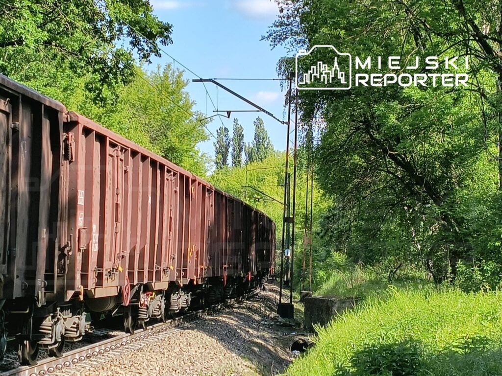 Fot. Czytelnik Miejskiego Reportera