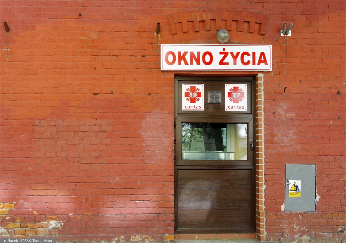 Okno życia. Zdjęcie ilustracyjne