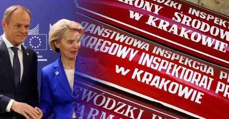 Albo reforma inspekcji pracy, albo 2 mld euro kary. To nam grozi [NEWS MONEY.PL]