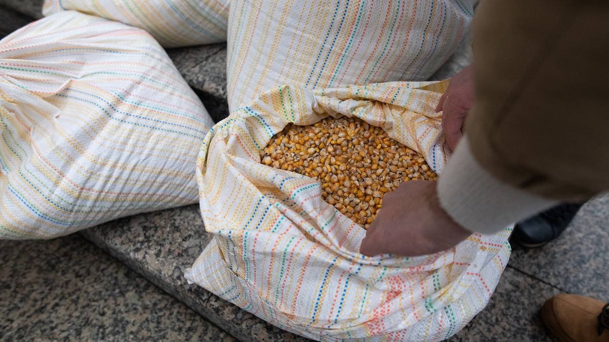 Rzecznik PiS zapowiada rekompensaty finansowe dla rolników 