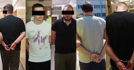 Zatrzymani za pornografię dziecięcą, a także pornografię ze zwierzętami. Wśród nich mieszkańcy lubelskiego