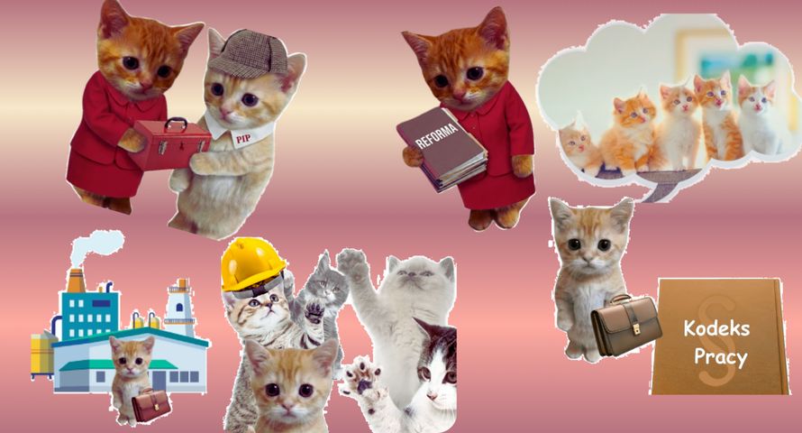 Kocia kampania ministerstwa. Ustawa o PIP wyjaśniona w memach