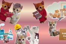 Grafika z kotkami z posta MRPiPS