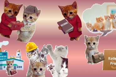 Grafika z kotkami z posta MRPiPS