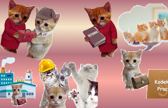 Kocia kampania ministerstwa. Ustawa o PIP wyjaśniona w memach