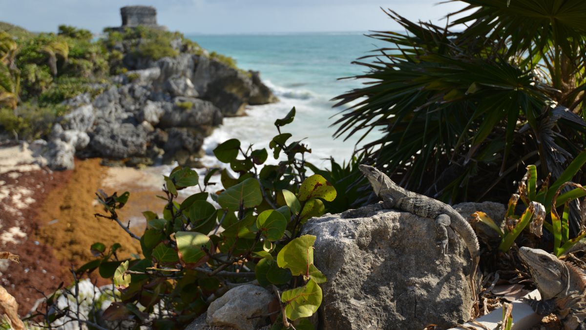 Podróże do Meksyku obarczone ryzykiem