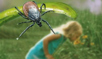 Masz je w ogrodzie? Wiosną mogą być schronieniem dla kleszczy