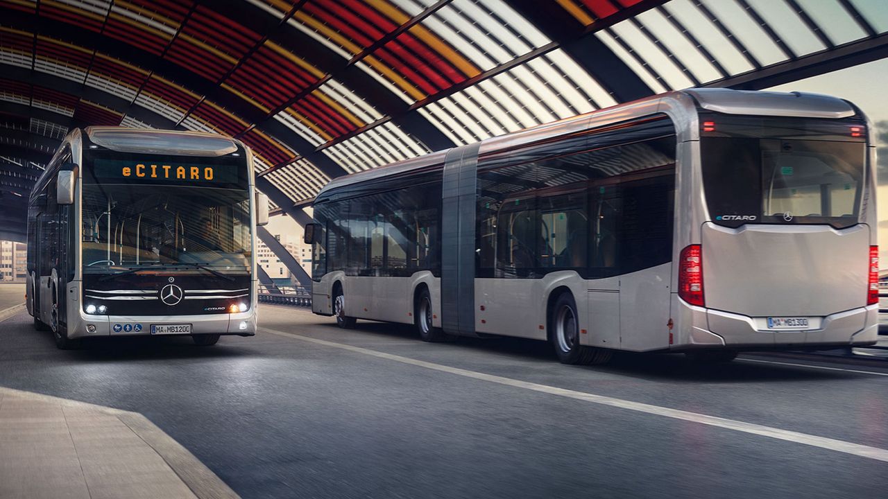 Holandia będzie zielona. Tym razem dzięki autobusom