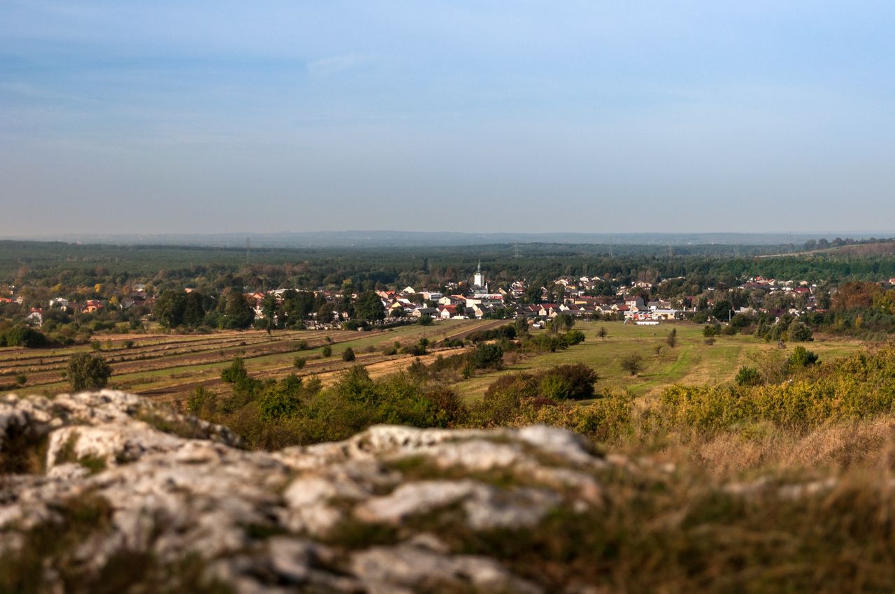 Widok na Żarki