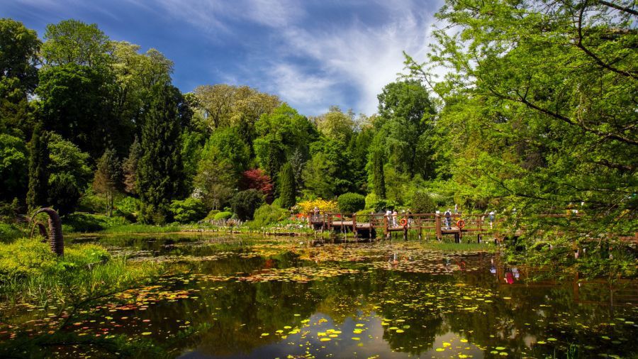 Arboretum w Bolestraszycach