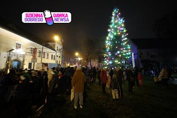 Tak wygląda choinka pod oknem papieskim. Rozbłysła już po raz 19.