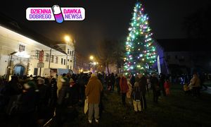 Tak wygląda choinka pod oknem papieskim. Rozbłysła już po raz 19.