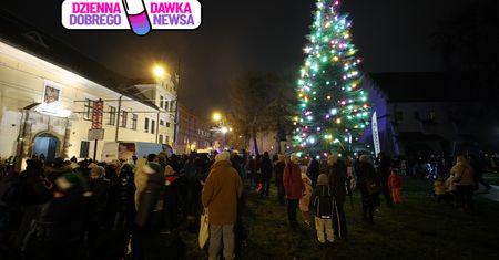 Tak wygląda choinka pod oknem papieskim. Rozbłysła już po raz 19.