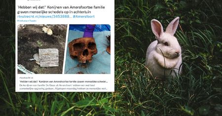 Serce archeologa "zabiło szybciej". Królik wykopał to w przydomowym ogródku