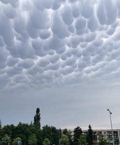 "Krowie wymiona" nad Polską. To mammatusy
