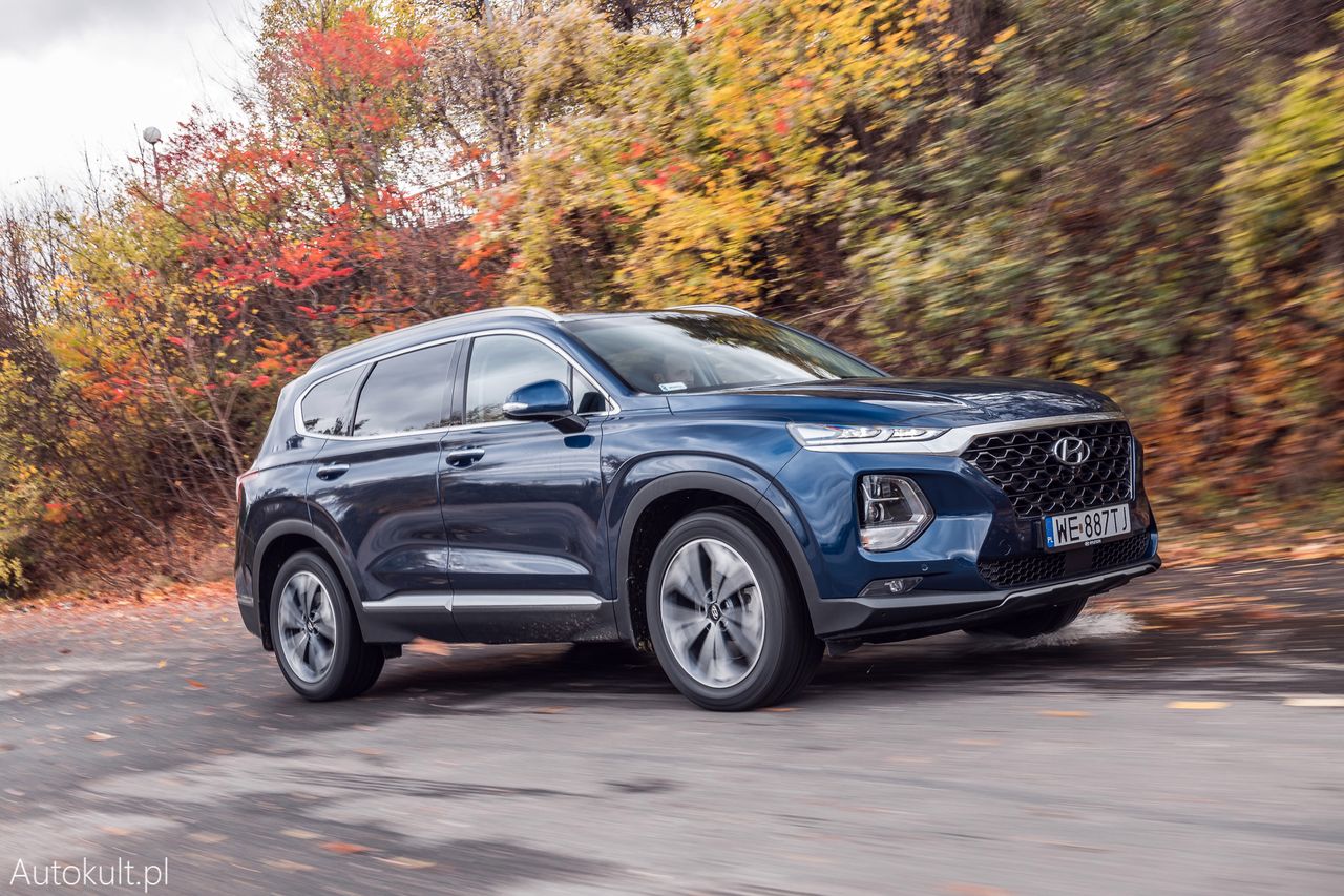 Hyundai Santa Fe 2.0 CRDi Platinum (2019) (fot. Konrad Skura)