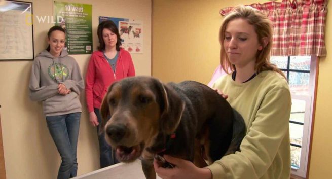 4 nowe kanały telewizyjne w CDA Premium