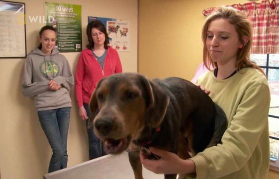 4 nowe kanały telewizyjne w CDA Premium