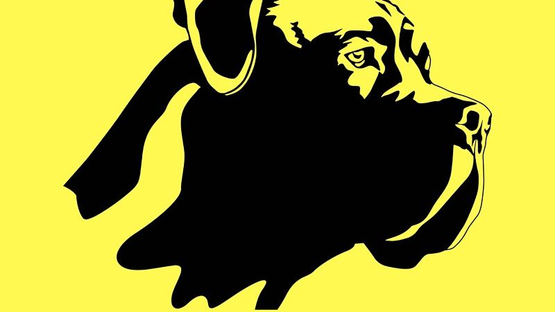 III Piknik Cane Corso w Lublinie