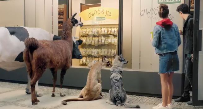 Zwierzęta reklamują przekąski Chwyć &amp; Jedz od Bakallandu (wideo)