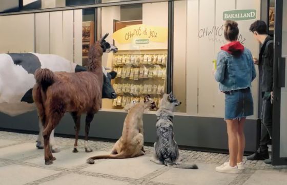 Zwierzęta reklamują przekąski Chwyć &amp; Jedz od Bakallandu (wideo)