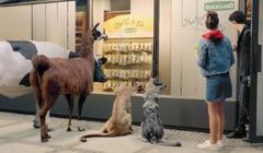 Zwierzęta reklamują przekąski Chwyć &amp; Jedz od Bakallandu (wideo)