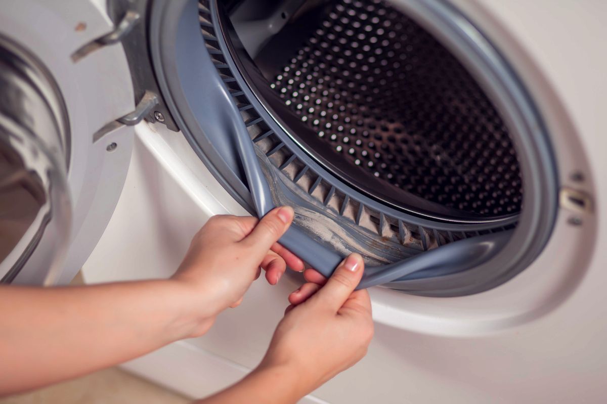 Battle mould in your washing machine with home remedies