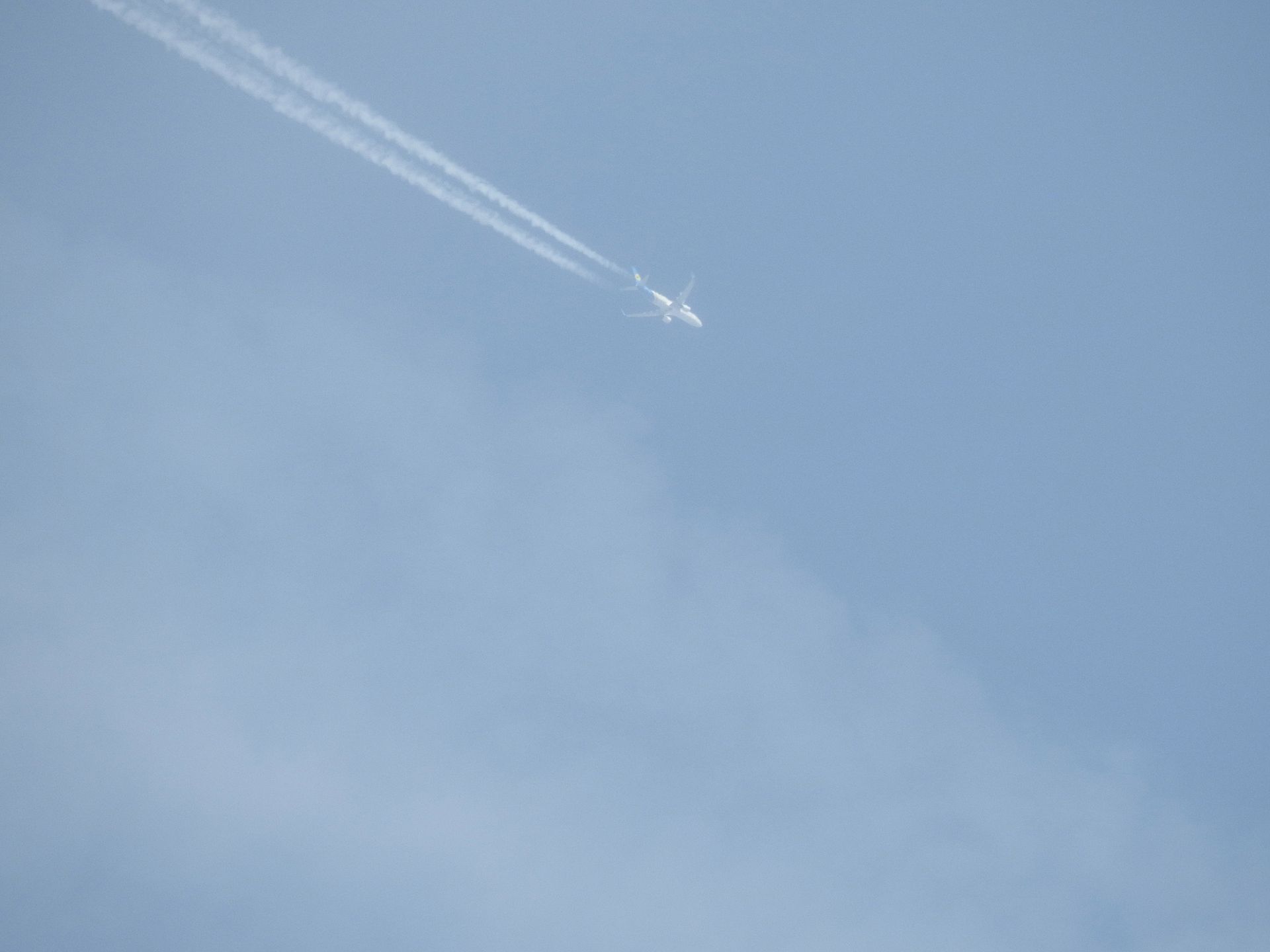 Nikon Coolpix P900 - podręczny superzoom z ogniskową 2000 mm [test] 54