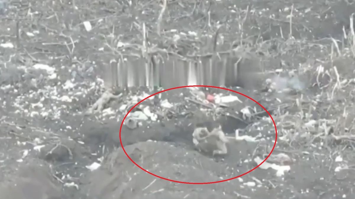 Rosjanie strzelali do żołnierzy, którzy zdążyli się poddać