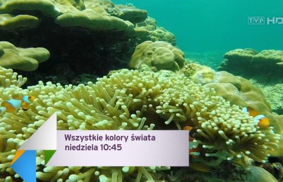 Telewizja Polska pracuje nad kanałem TVP Relaks