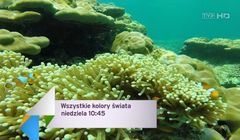 Telewizja Polska pracuje nad kanałem TVP Relaks