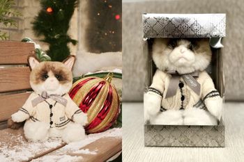 Za tę maskotkę chcą nawet 800 dolarów. Powód jest na kokardzie kota