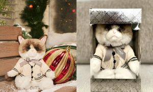 Za tę maskotkę chcą nawet 800 dolarów. Powód jest na kokardzie kota