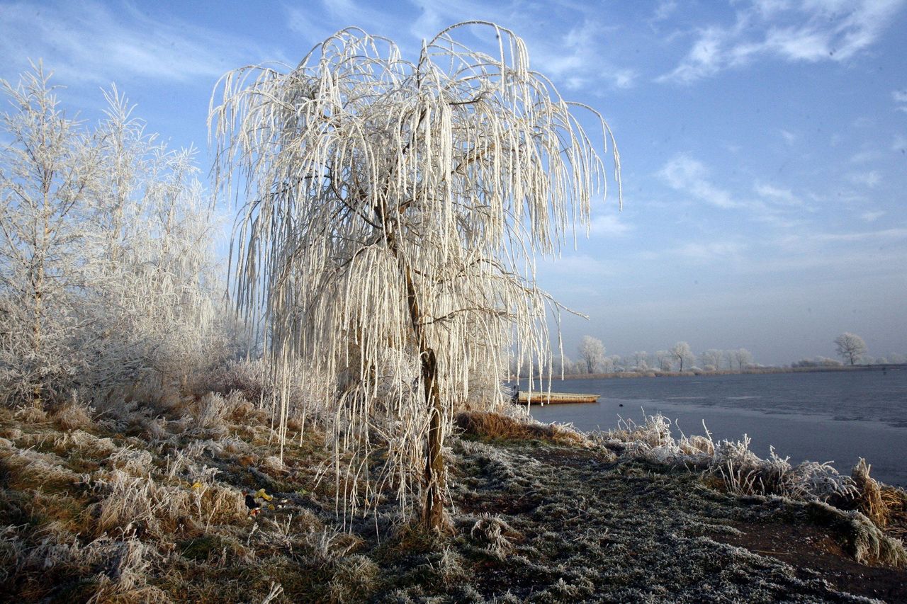 Nadciąga atak zimy. Temperatura spadnie nawet do -4 stopni