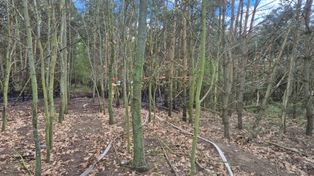 Konin: Las w ogniu i bez wody. Nadleśnictwo alarmuje