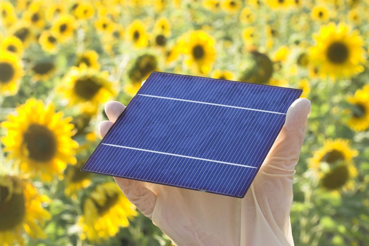 PV-Leaf: Harnessing the sun for power and water revolution