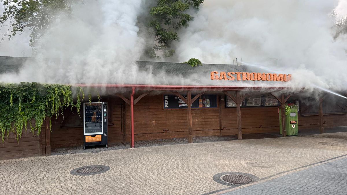 W piątek w Bałtowie doszło do pożaru