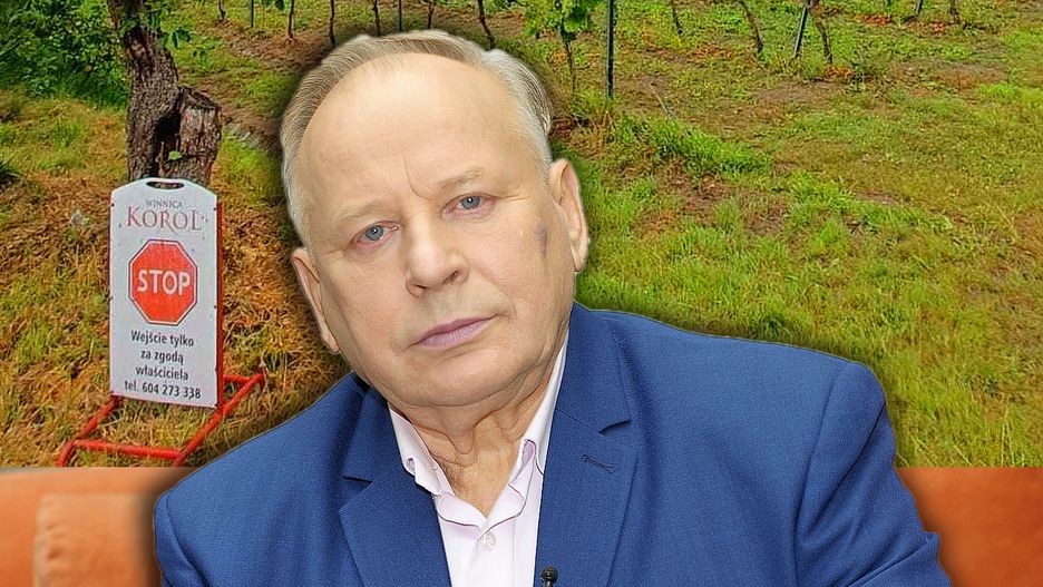 Mikołaj Korol i jego winnica w Mielniku