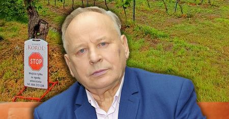 Mikołaj Korol z "Rolnik szuka żony 4" stworzył magiczne miejsce. Klienci nie walą drzwiami i oknami