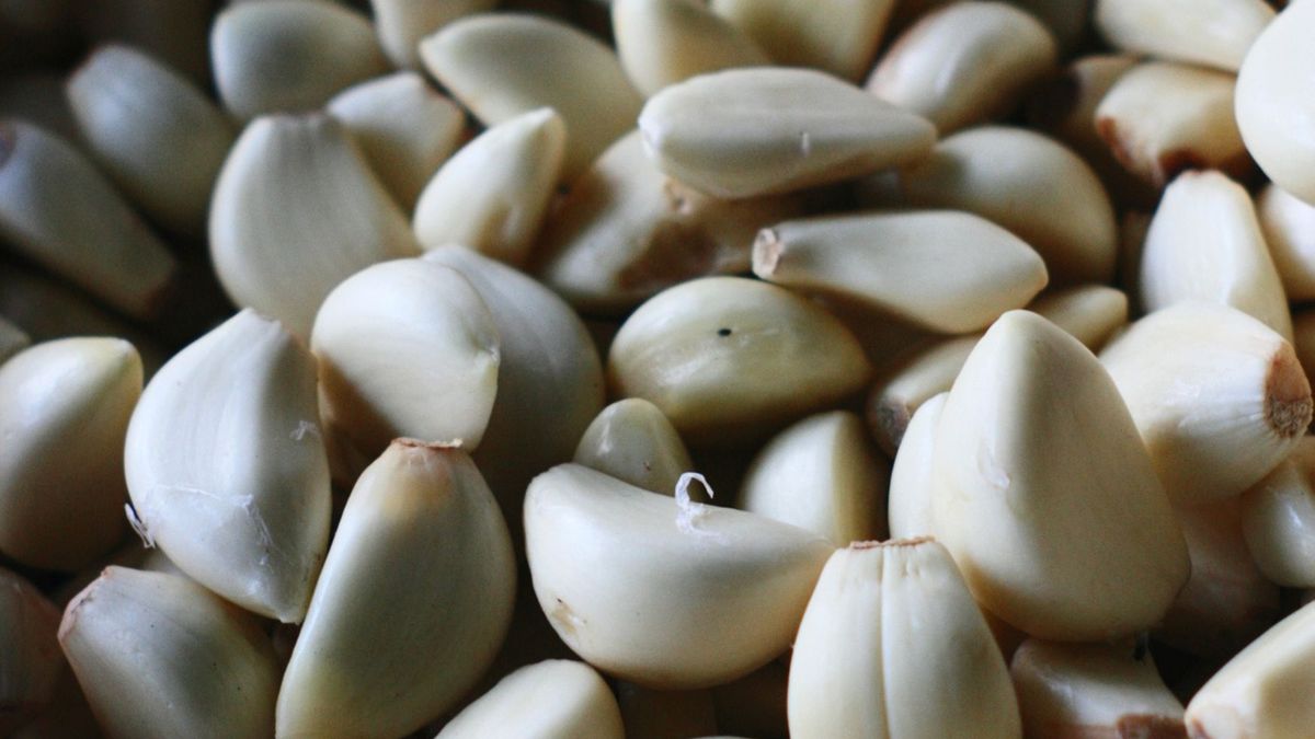 Czosnku nie wolno łączyć z paracetamolem