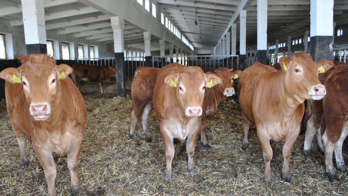 Do 300 tys. zł wsparcia dla rolników na inwestycję w produkcję