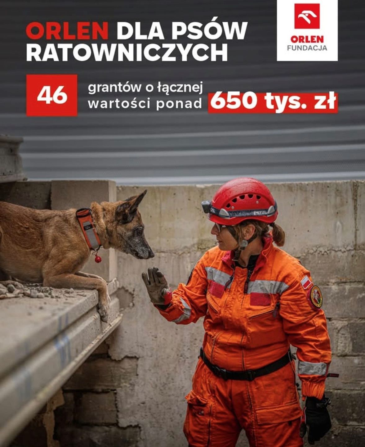 ORLEN dla psów ratowniczych 