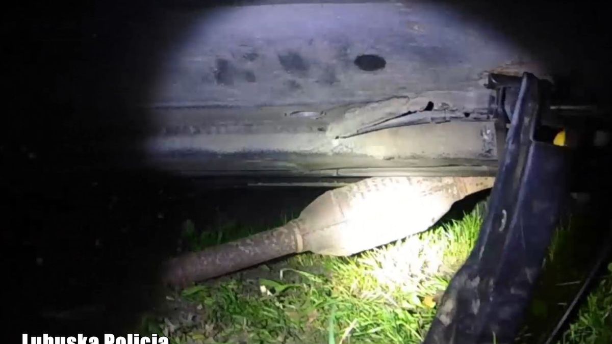 Mężczyźni zostali złapani na gorącym uczynku