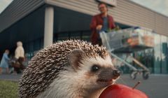 Koń i jeż reklamują promocje Aldi. Sieć rusza z nową kampanią