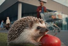 Koń i jeż reklamują promocje Aldi. Sieć rusza z nową kampanią 