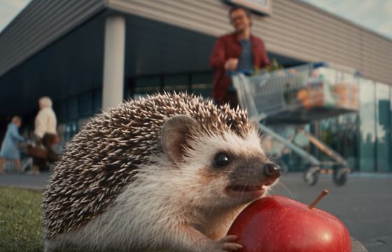 Koń i jeż reklamują promocje Aldi. Sieć rusza z nową kampanią