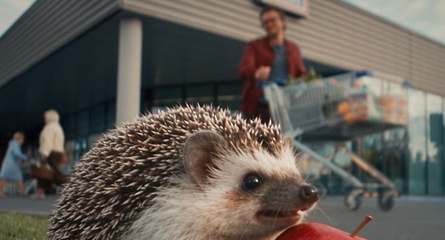 Koń i jeż reklamują promocje Aldi. Sieć rusza z nową kampanią